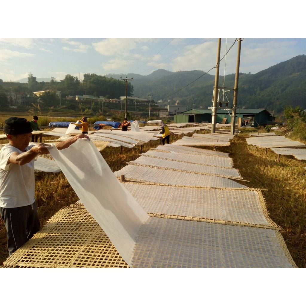 Đặc sản miến dong Bình Liêu, OCOP Quảng Ninh, 100% nguyên chất từ củ Dong riềng | BigBuy360 - bigbuy360.vn