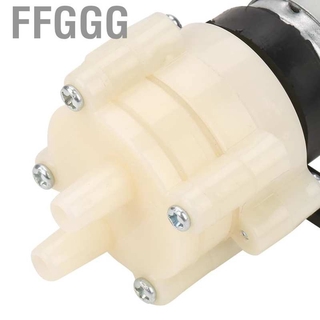 Máy Bơm Nước Mini Dc 12v