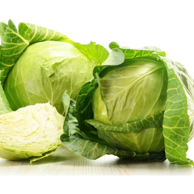 Hạt giống Bắp Cải F1