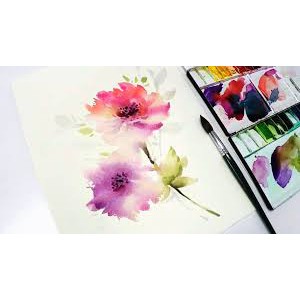 Giấy vẽ canson truyền thống, canson đài loan dày 220GSM - màu Trắng ngà