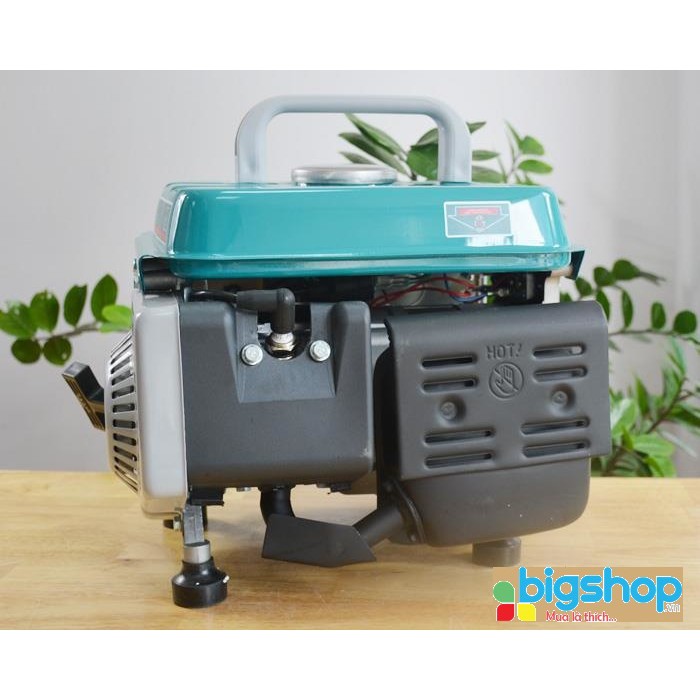Máy phát điện động cơ xăng Total TP18001 (800W)