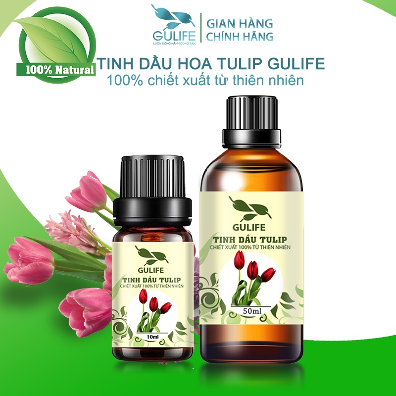 Tinh Dầu Tuylip Chiết Xuất Từ Thiên Nhiên GULIFE - Giảm Căng Thằng, Thơm Phòng &amp; Thư Giãn