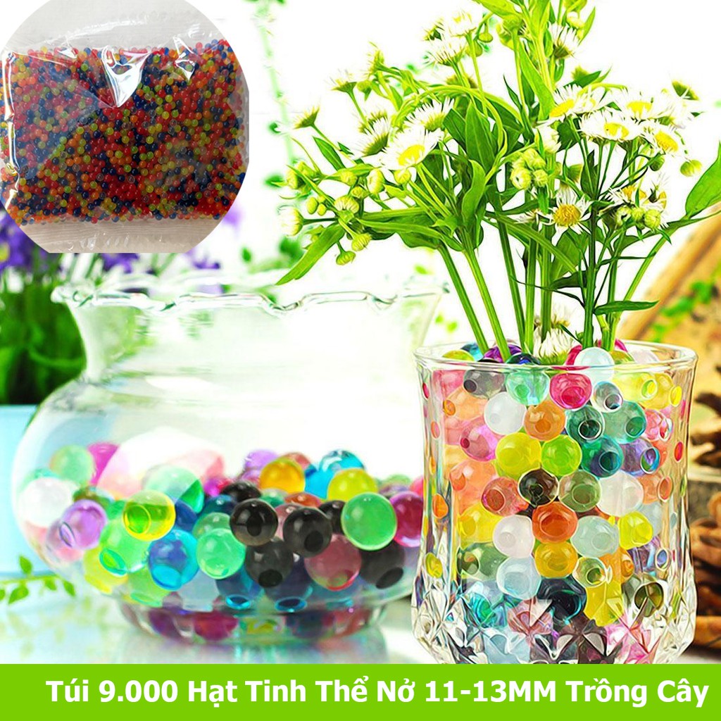 Gói 10.000 Hạt Nở- Hạt Tinh Thể Nở Slime Trồng Cây Không Cần Đất, Trang Trí Lọ Hoa Nhiều Màu Cực Đẹp