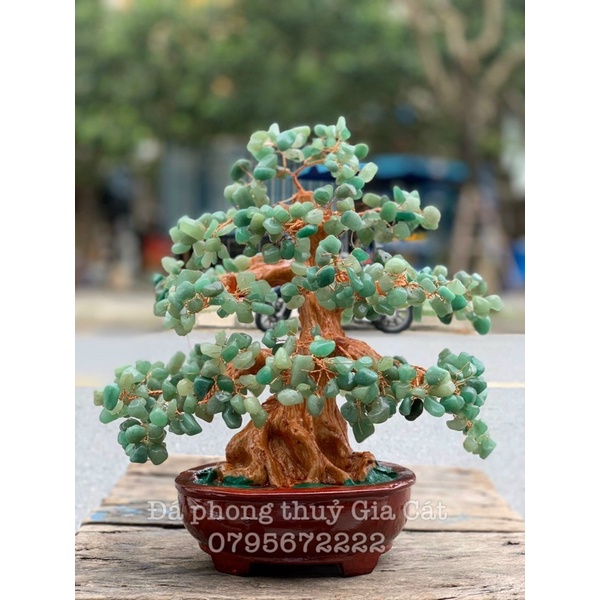 Cây tài lộc đá thach anh tán dày phong thuỷ trưng bày 30 cm kiểm định