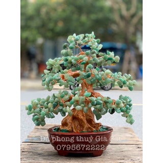 Cây tài lộc đá thach anh tán dày phong thuỷ trưng bày 30 cm kiểm định