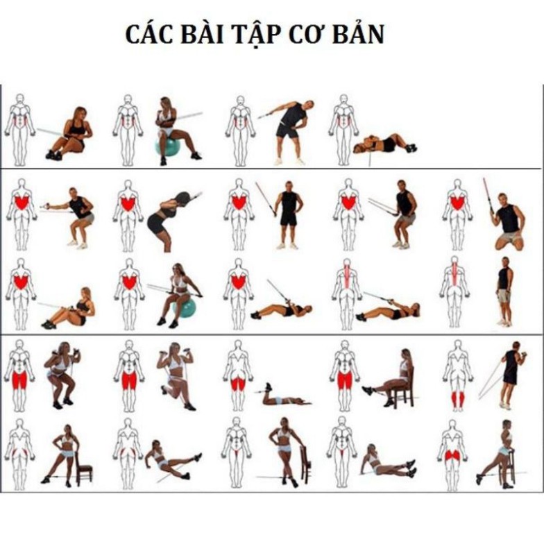 Dây Ngũ Sắc Đàn Hồi Tập Thể Hình - Tập GYM, DâyKháng Lực, Đàn Hồi Cao Cấp