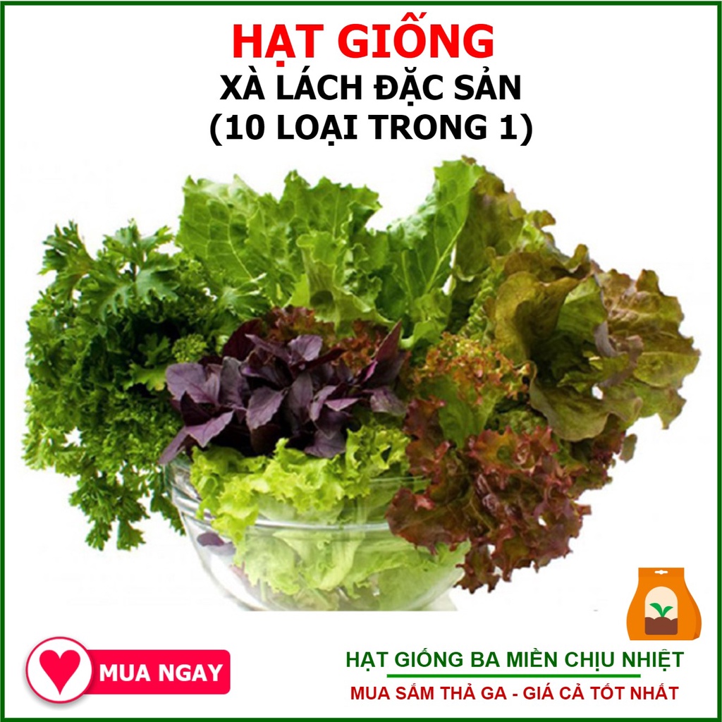 Hạt Giống Xà Lách Đặc Sản Mixed Trang Nông