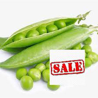 10 gr hạt giống đậu hà lan sale