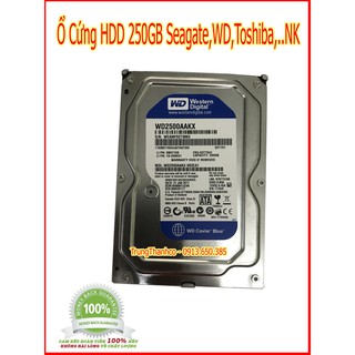 Ổ Cứng HDD 250GB Nhập Khẩu Tùy Hãng Mới Bảo Hành 2 Năm