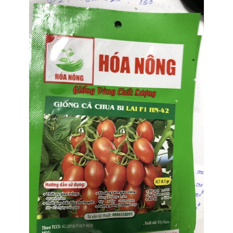 Hạt giống Cà chua bi 🌱
