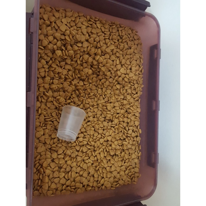 [Mã PET50 giảm 10% - tối đa 50K đơn 250K] Hạt Catsrang Hàn Quốc thức ăn khô dành cho mèo từ 3 tháng tuổi PET TOOLS
