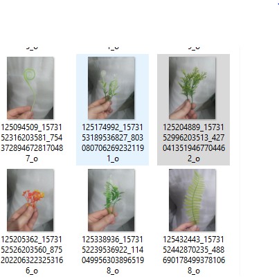 100 gr cỏ điểm