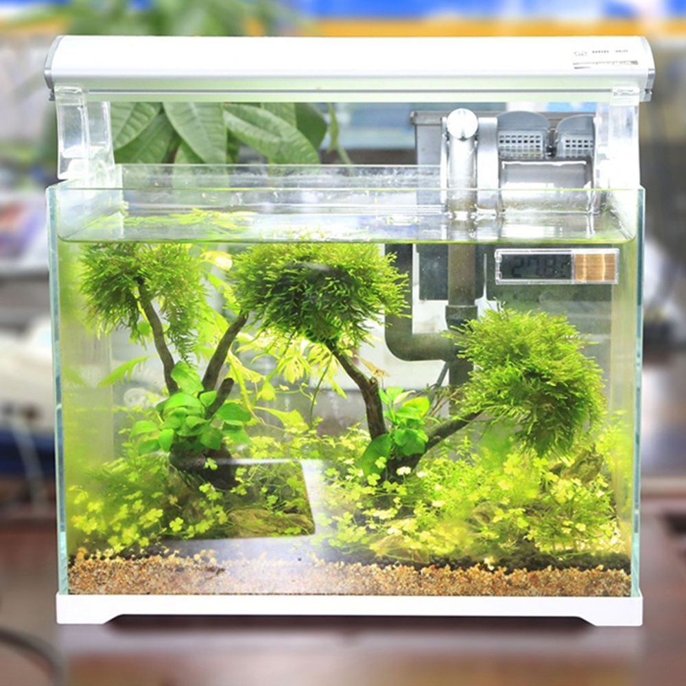 Nhiệt kế 3D DIYMORE có màn hình LCD tiện dụng cho bể cá