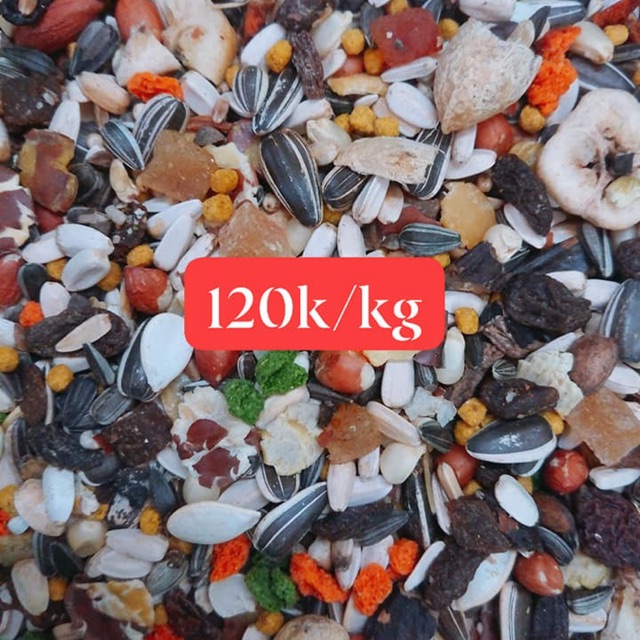 Hạt mix Ý cao cấp cho Vẹt gói 500g và 1kg