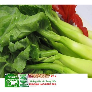 Hạt giống Cải Ngồng MậP 50 Hạt