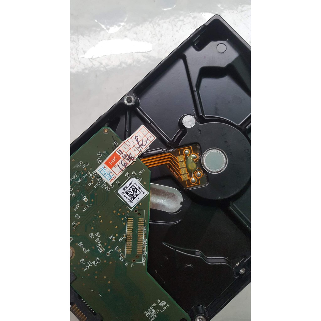 Ổ cứng 500g Pc Seagate , Western Blue { Bảo hành 6 tháng , 1 đổi 1 trong 6 tháng đầu tien } | BigBuy360 - bigbuy360.vn