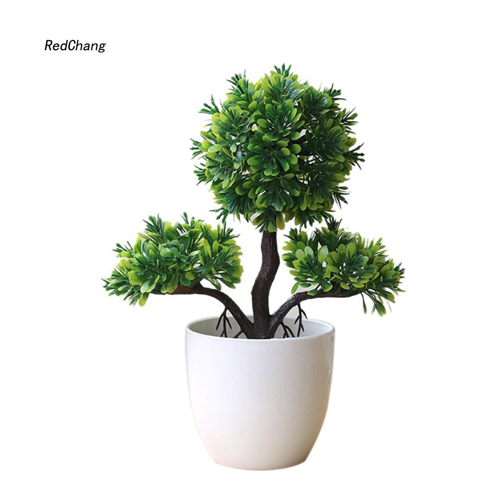 Chậu Cây Bonsai Giả Trang Trí Bàn Làm Việc