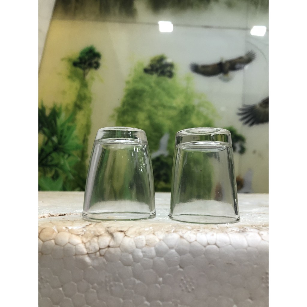 Ly uống rượu,bộ 12 chiếc chén thủy tinh uống rượu 33ml