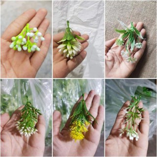 Cỏ điểm trang trí cắm hoa các loai 2kg