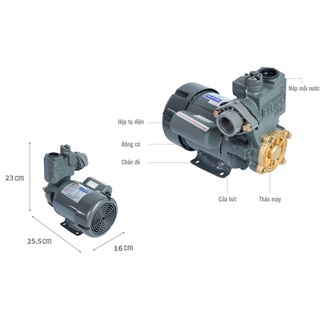 MÁY BƠM SELTON 150W SEL 150BE