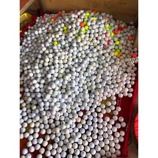 Combo 10 bóng golf cũ mix các loại