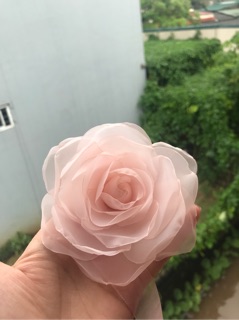 Combo hoa cài áo