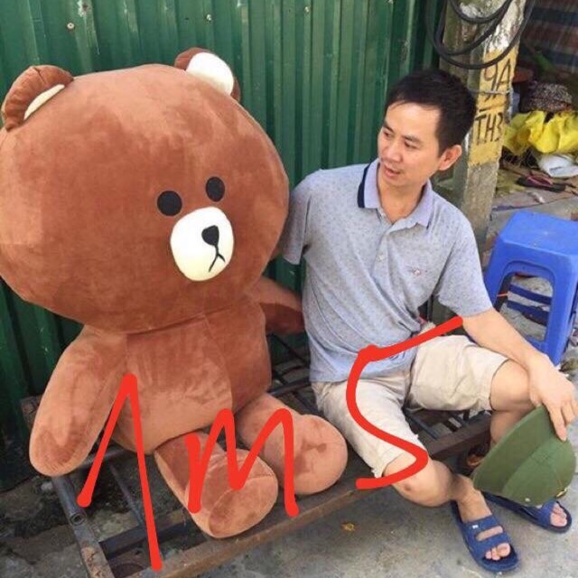 Gấu brown khổ vải m5