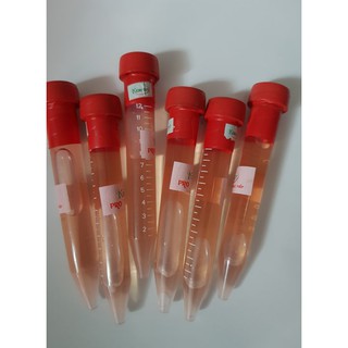 THuốc Kích Mầm, Kích Chồi Keiki Duy Pro - Loại Bôi Trực Tiếp