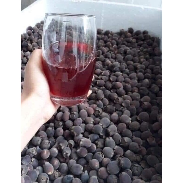 Sim Rừng Khô Ngâm Rượu 1kg