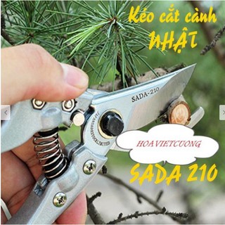 Kéo cắt tỉa cây cảnh - kéo cắt cành Sada 210