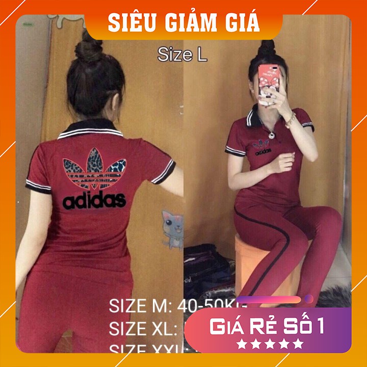 [Ảnh thật tự chụp] Đồ bộ thun cotton nữ quần dài