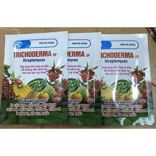 Nấm đối kháng Trichoderma sp Streptomyces
