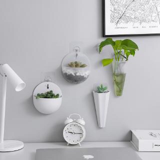 Chậu hoa nhựa treo tường trang trí nội thất đẹp mắt