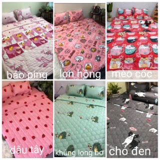 Bộ ga gối chăn hè cotton poly 5 món cao cấp(ib shop chọn mẫu)