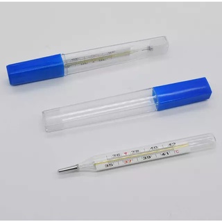 Nhiệt kế thủy ngân (1 hộp 12 chiếc bán sỉ)