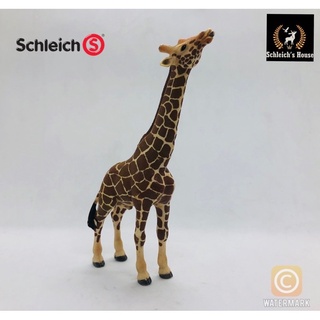Mô hình động vật , đồ chơi con vật Schleich chính hãng Hươu cao cổ đang ăn 14389 - Schleich House