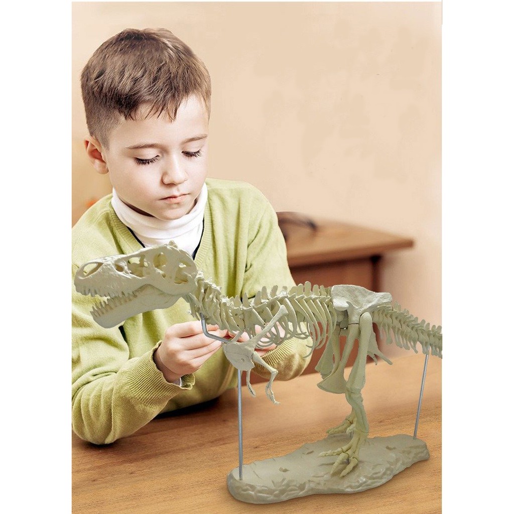 LẮP RÁP MÔ HÌNH XƯƠNG KHỦNG LONG T-REX (4D ASSEMBLED TRIANGLE DRAGON FOSSIL DINOSAUR SKELETON MODEL)