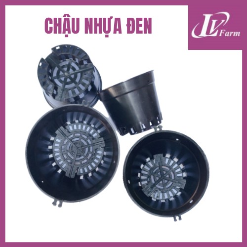 Chậu Nhựa Đen F21 Trồng Hoa Lan, Cây Cảnh - Phi 21cm