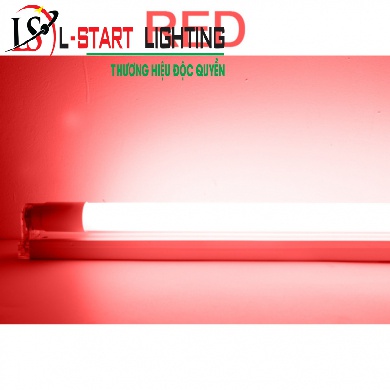 TUÝP LED NEON ĐỦ MÀU, XANH DƯƠNG, XANH LÁ, VÀNG, ĐỎ, TRẮNG LIỀN PHÍCH CẮM