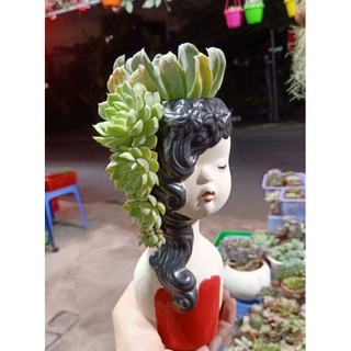 Chậu đất nung - chậu cô gái tóc mây tráng men (giao màu ngẫu nhiên)
