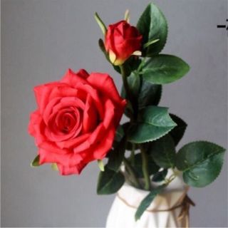 Cành hoa hồng 1 bông 1 nụ