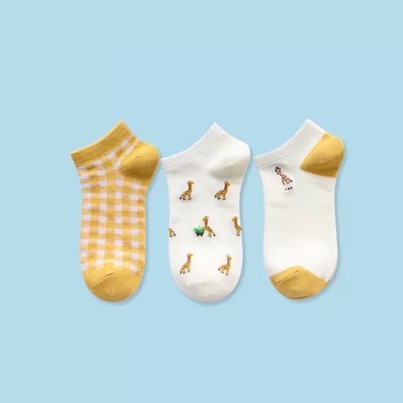 Set 3 tất ngắn cổ Caramella cao cấp