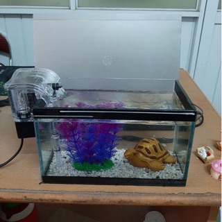 Bộ bể cá mini 25x13x15cm kèm lọc thác