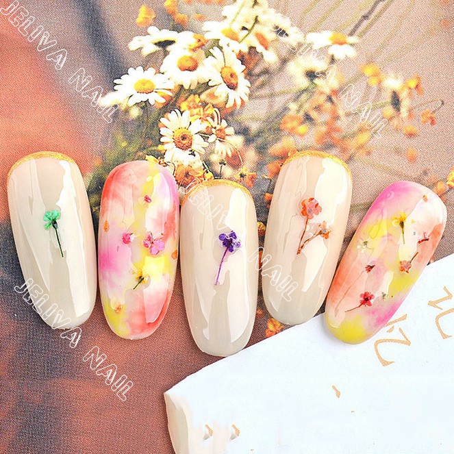 Hoa khô set 12 màu cánh nhỏ trang trí móng Thiên Di Nail