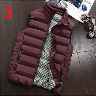 [Hàng oder 10-15 ngày về] Áo phao gile nam (Có sẵn màu số 1, 4 sz L)