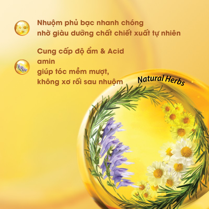 Kem Nhuộm Màu Tóc Cao Cấp Youth &amp; Color