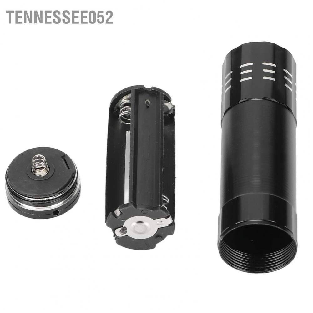 Tennessee052 Cat Shell Comb Safe Massage Hair Removal Grooming for Little Pets Bunnys Cats