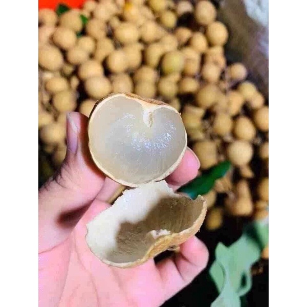 Combo 3kg trái cây bất kỳ chôm chôm chôm thái, ổi nữ hoàng, cam sành vĩnh long, nhãn thái ido.