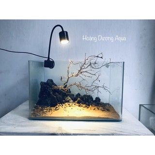 Đèn Rọi Biotop 3W,5W,7W Ánh Sáng Trắng, Vàng- Dùng Cho Bể Thủy Sinh Biotope