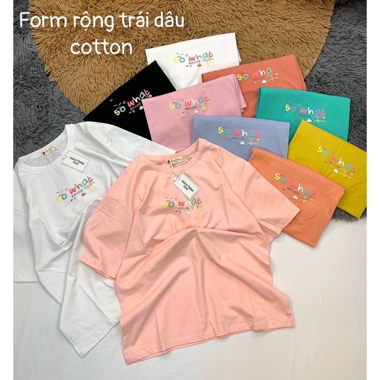 Áo Thun Quảng Châu Cao cấp Phom Vừa Free Size 48-63Kg